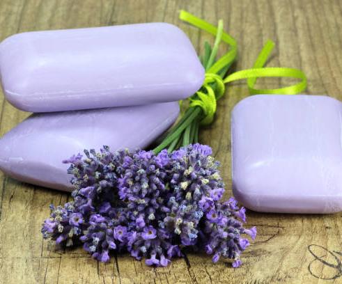 Lavender Brule Conditioner Bar